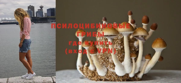 сатива Нефтегорск