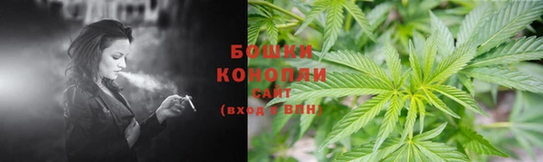 сатива Нефтегорск