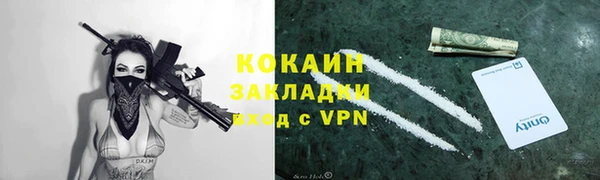 трава Наволоки