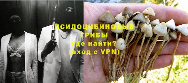 сатива Нефтегорск