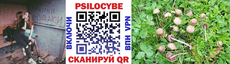 купить наркоту  Ленск  Псилоцибиновые грибы GOLDEN TEACHER 
